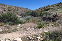044-looking_back_to_Litterbox_connecting_to_SARS_Trail_to_right,Radio_Tower_Trail_to_left
