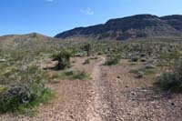 67-now_the_trail_becomes_scenic,no_longer_slog_through_the_desert