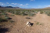 73-cairn_for_a_trail_split_before_that_barbed_wire_fence-both_lead_back_to_Fire_Station_Hill_Trail,going_R