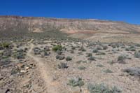 041-Gnarley_Trail_is_a_pleasant_trek_through_desert_with_pretty_views_of_Blue_Diamond_Hill