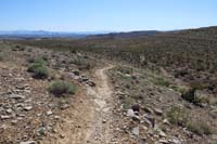 046-continuing_along_Gnarly_Trail