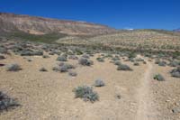 048-heading_back_up_Gnarly_to_Hill_Billy