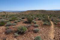 051-looking_back_to_Gnarly-Hill