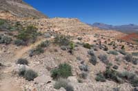 056-several_ups_and_downs_for_mountain_bikers-lots_of_fun-scenic_for_hikers