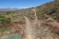 067-Brohemian_Rhapsody_Access_alternate_opportunity_to_add_some_adventure_for_mountain_bikers