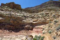 080-scenery_along_the_trail