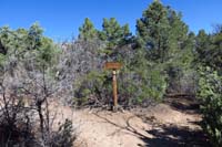 06-Lovell_Canyon_Loop_TJ-going_left