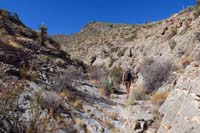 20-canyon_opens_up,continuing_along_drainage