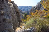 22-more_fall_colors_in_drainage