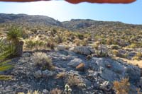 25-heading_up,we_decided_we'll_go_to_Gottlieb_Peak-no_real_goal_originally_other_than_exploring