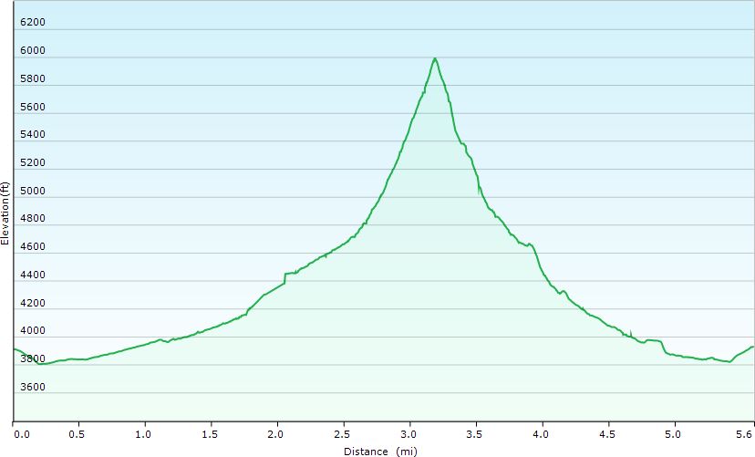 64-hike_profile