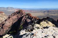 33-scenic_view_from_peak-looking_NE-towards_Juniper_Peak