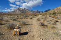 20-Cleod_9_Trail_ends,Secret_Menu_Trail_begins-very_scenic_view_of_Damsel_Peak