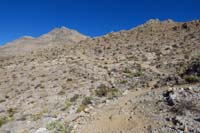 24-Wicked_Garden_is_like_a_garden_of_rocks_and_wicked_terrain,quite_challenging_for_a_mountain_biker