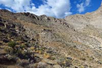31-looking_back_to_scenery_Wicked_Garden_Trail_meanders