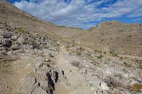 39-continuing_up_Cleod_9_Trail_to_the_saddle-once_there_I_discovered_a_trail_below_ridge_not_on_maps