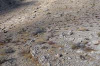 49-reached_saddle,developed_trail_ends_after_1.2m,600'_gain-pink_tags_mark_trail_continuation