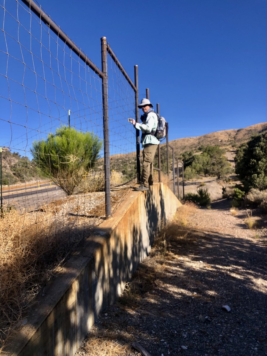 03-me_traversing_the_fence-from_Laszlo