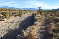 06-trail_along_wash_which_was_probably_recently_effected_by_a_flood