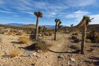 19-looking_back,sign_states_Burro_Badlands(TZ)_for_some_reason