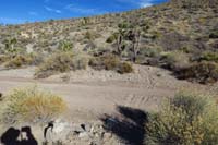 59-trail_crosses_a_dirt_road,could_turn_right_to_reach_summit_point
