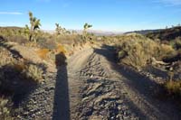 69-TwilightLittleDaytonaTJ,Twilight_Loop_crosses_road_from_left_to_right