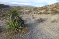 06-checking_out_other_alternate_which_is_well_defined_to_wash,although_another_burro_trail