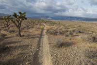 06-scenic_view_along_ridgeline_while_traveling_west_on_Top_Gun_Brake_Burner_Trail