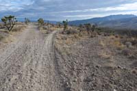 09-looking_back-dirt_road_continues,came_from_center,now_checking_out_alternate_to_right