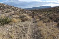 10-alternate_trail_is_well_defined_while_traveling_through_a_gully
