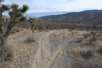 16-looking_back_to_Top_Gun_Brake_Burner_Alt2_TJ,came_from_left_fork,taking_right_fork