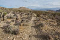 19-continuing_along_other_alternate_as_it_curves_towards_Harris_Springs_Rd