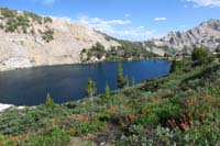 18-wildflowers_and_Liberty_Lake