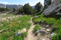 19-lots_of_wildflowers_along_the_trail