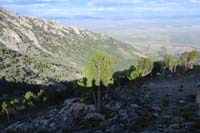 26-Colonel_Moore_Trail_crest,now_to_find_trail_to_continue_down_there-545pm