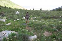 31-trail_through_meadow_of_wildflowers
