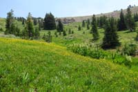 69-scenic_view_along_trail-pretty_meadow
