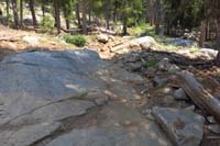 74-Horse_Canyon_trail_beaten_by_horses,avalanche_damage,debris,Thunder_Mt_trail_much_better