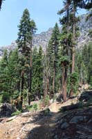 77-scenery_along_trail