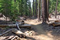 78-scenery_along_trail