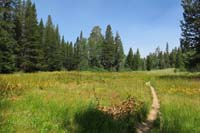 32-pretty_scenery_along_the_trail