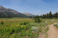 38-pretty_scenery_along_the_trail