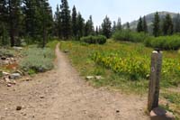 39-trail_junction,straight-Carson_Pass(where_I'm_going),right-Weiss_Lake