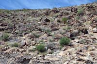 034-so_many_petroglyphs_among_these_rocks