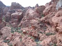 54-scrambling_among_interesting_terrain