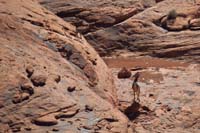27-ewe_guiding_very_young_big_horn_sheep_down_rock