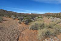 12-hiker_inclined_to_continue_up_dominent_wash_to_left,but_follow_trail_markers_to_right