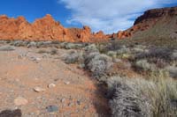 16-confusing_area-trail_marker_visible_in_distance_to_right