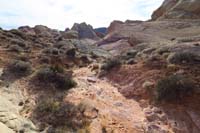 20-usage_trail_through_wash_which_avoids_cryptobiotic_soil-left_is_where_other_Crazy_Hill_route_merges