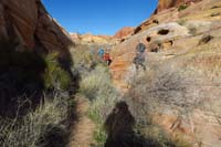 21-looking_back_to_continuing_southerly_usage_path-defined_trail_avoids_catsclaw_acacia_in_wash
